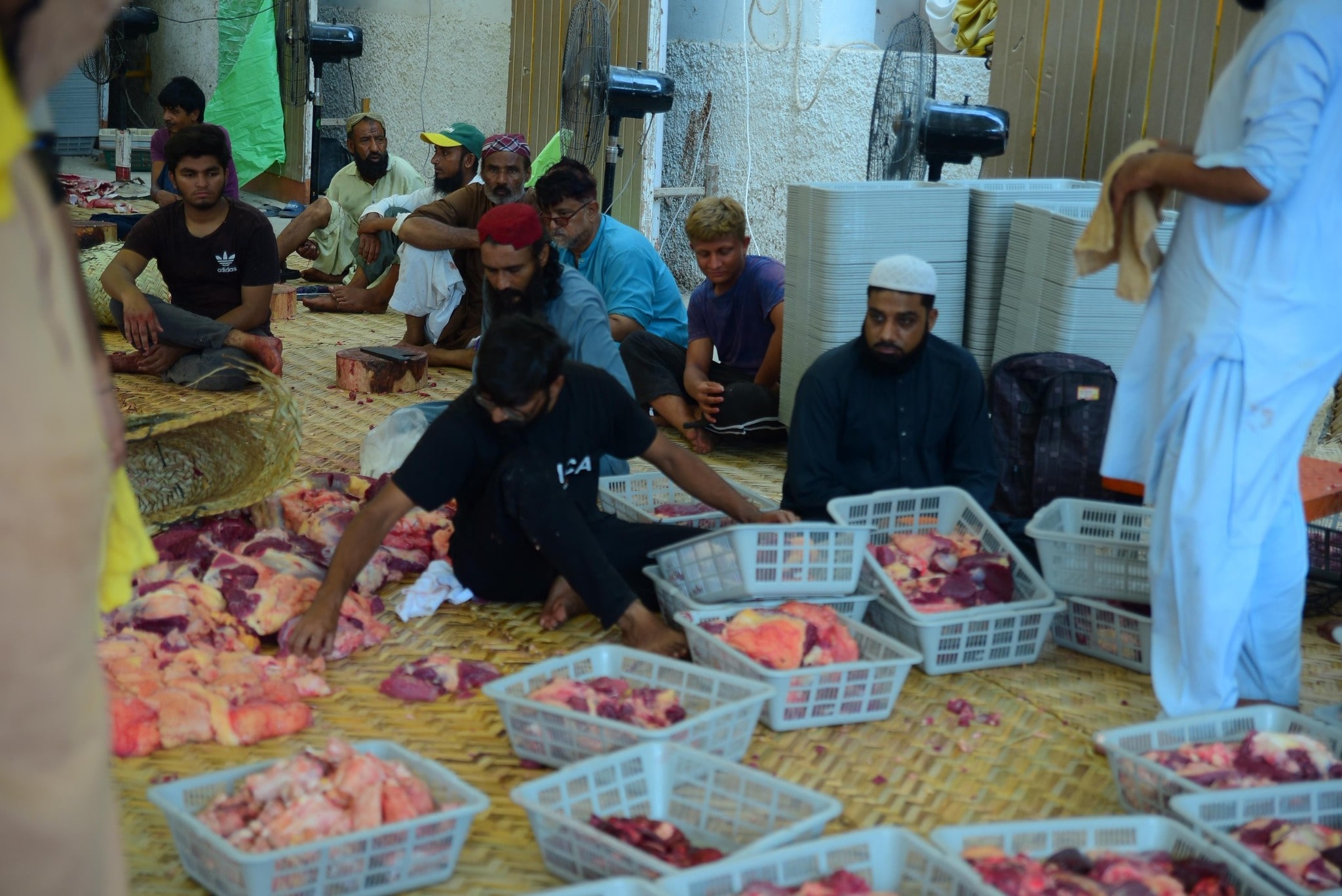 Qurbani-2025-Images (28)-min